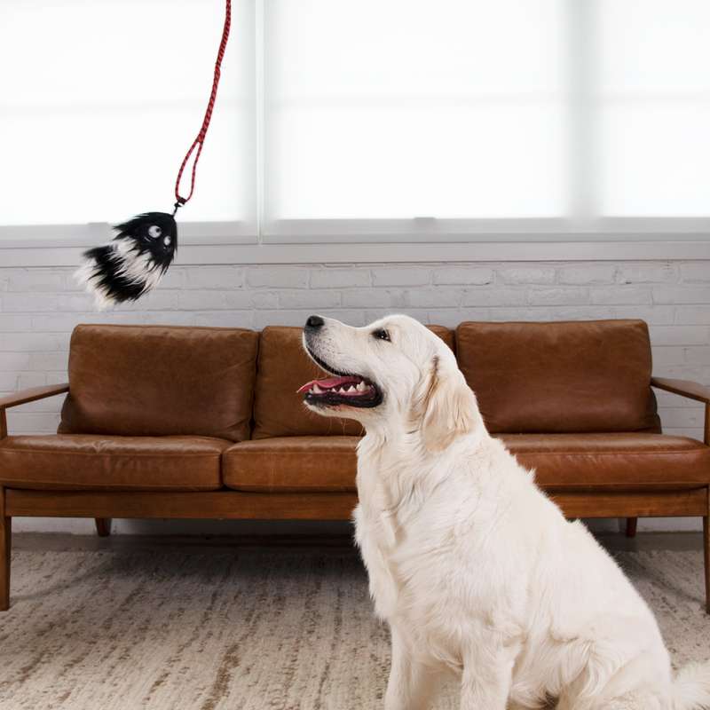 Outward Hound Tail Teaser Replacements