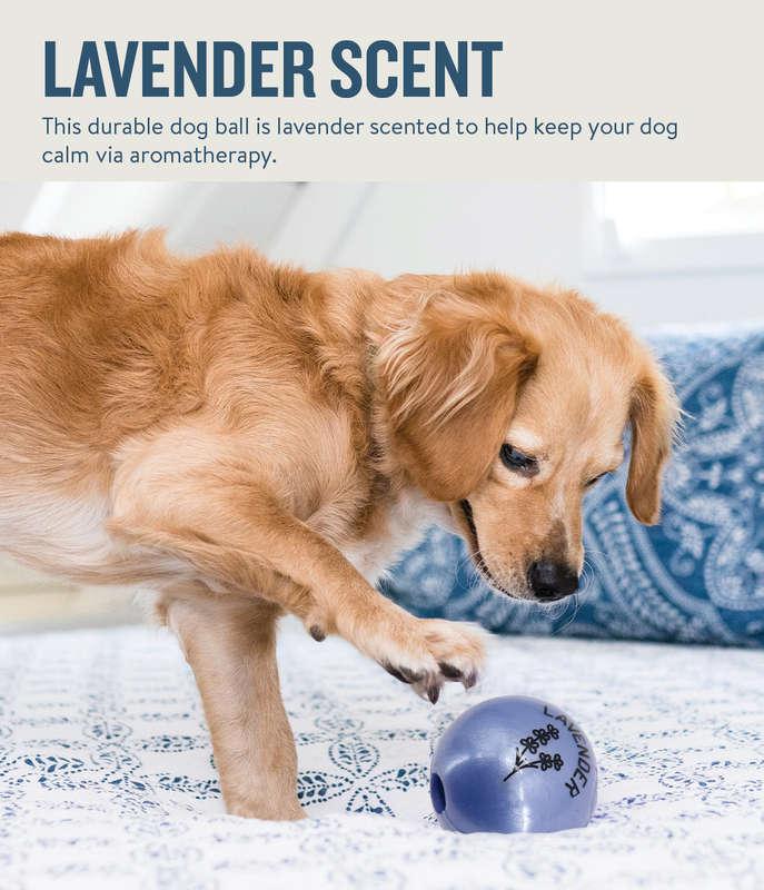 Planet Dog Orbee-Tuff Essentials Scented Ball Treat Dispenser