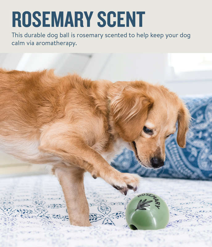 Planet Dog Orbee-Tuff Essentials Scented Ball Treat Dispenser