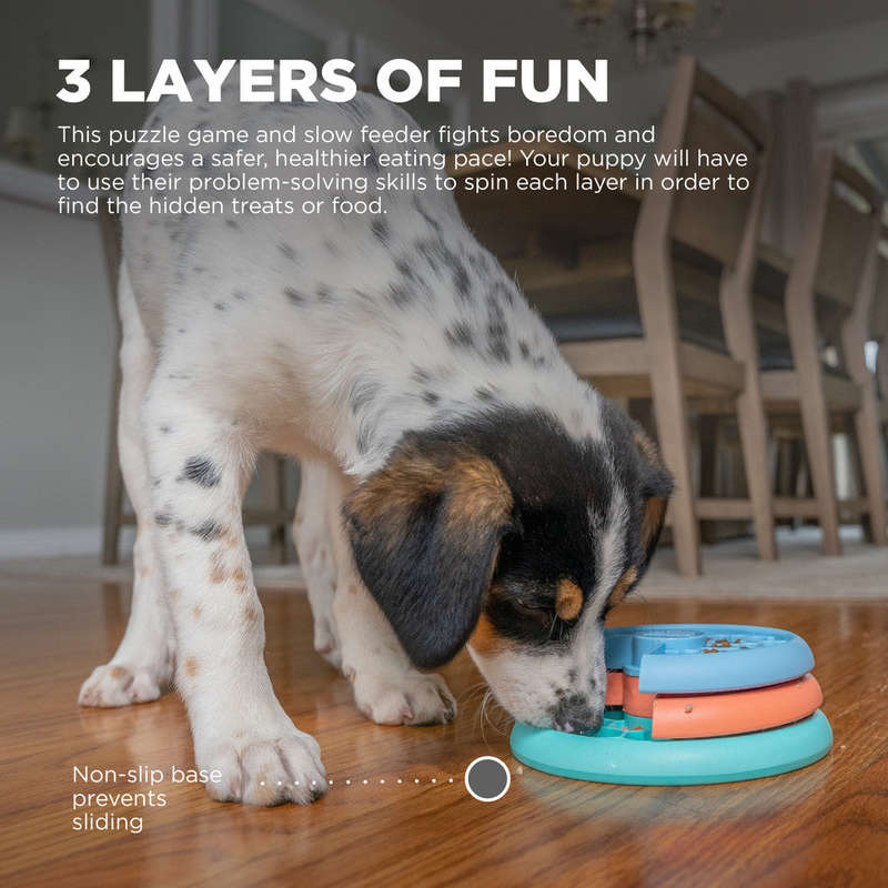 Nina Ottosson Puppy Lickin' Layers
