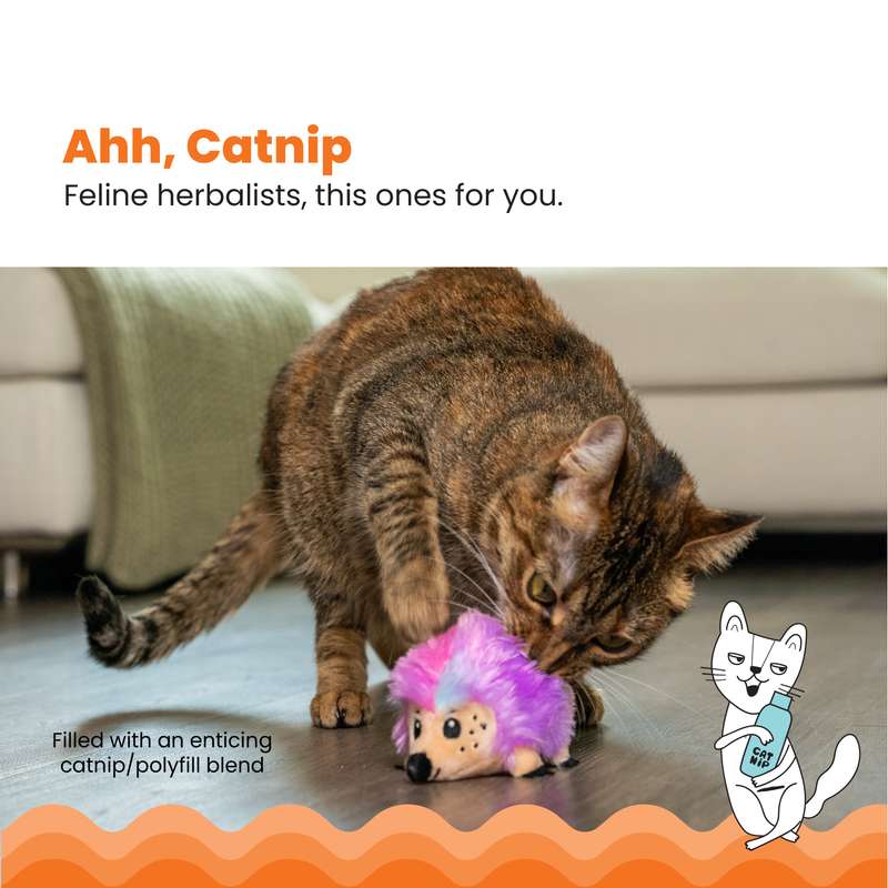 Catnip Plushies Hedgehog