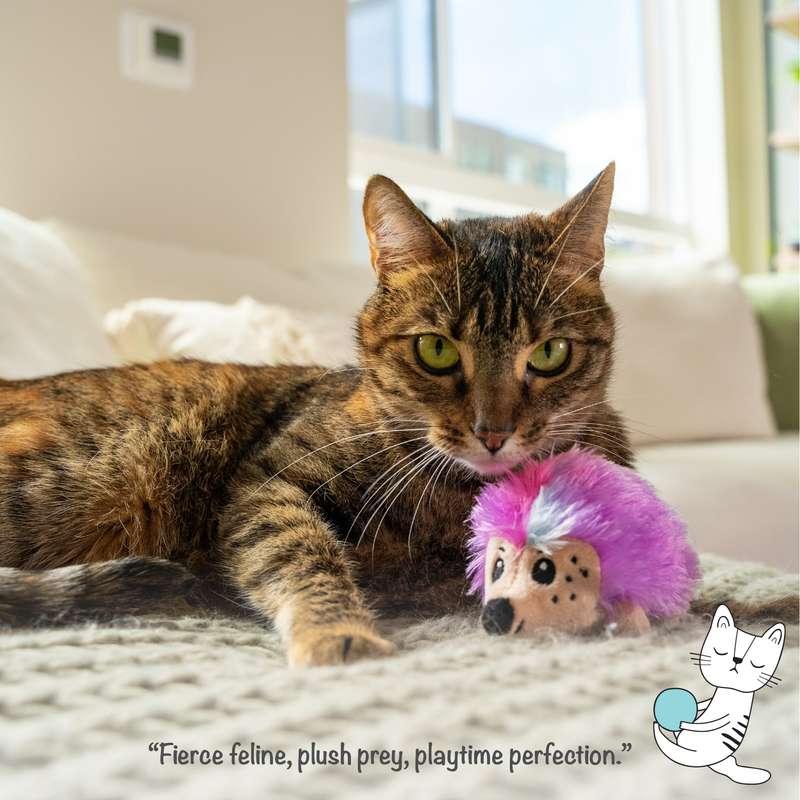 Catnip Plushies Hedgehog