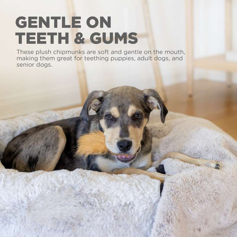 Chipmunk Snuffle Treat Replacements