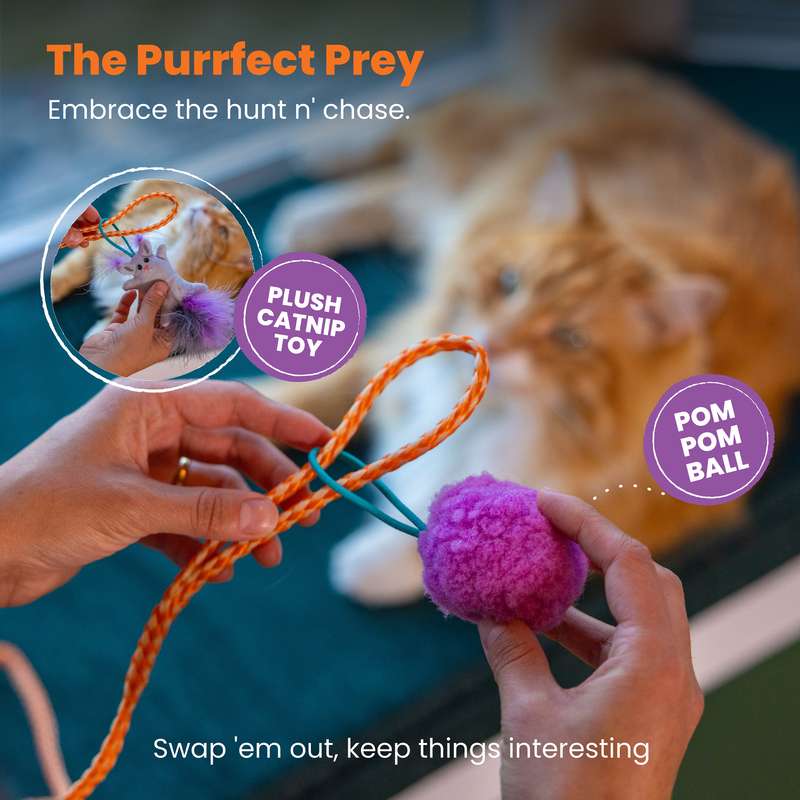 Cat-Apult Spring Wand