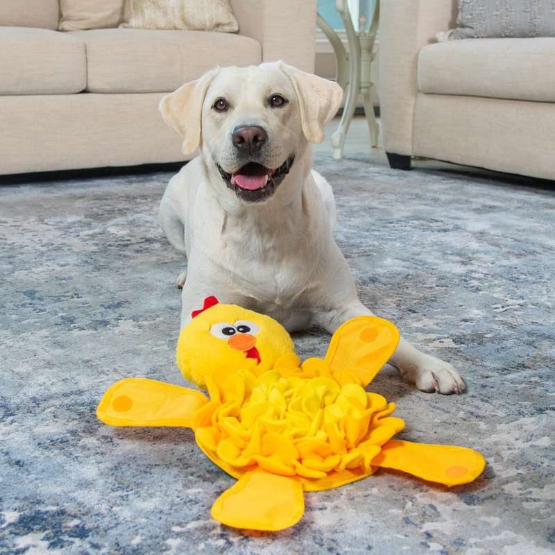 Snuffle Palz Chicken