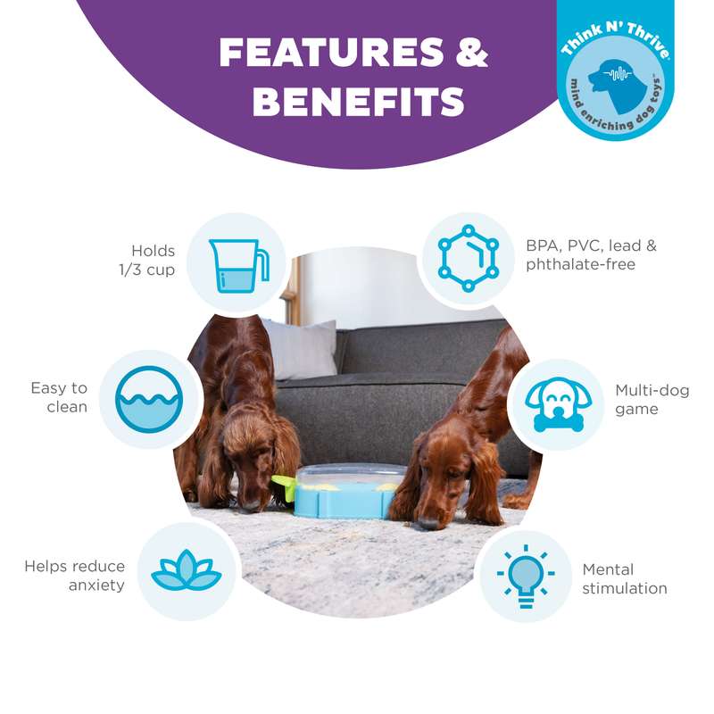 Paw 'n Play