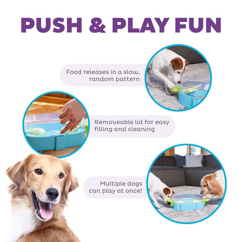 Paw 'n Play