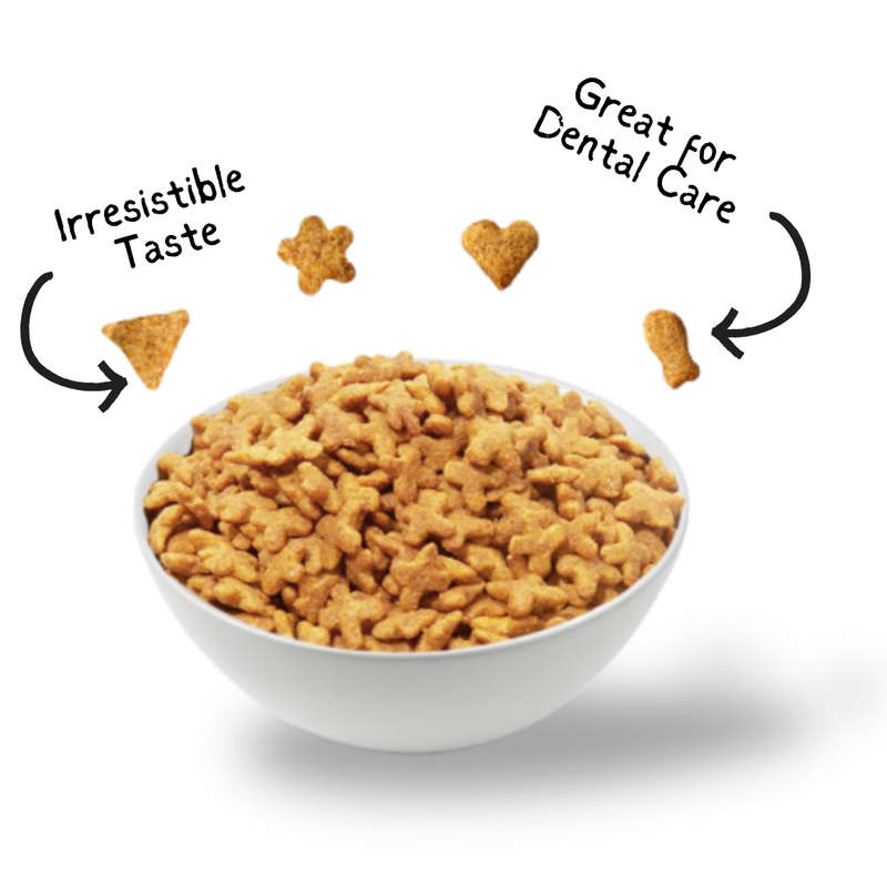 Kit Cat Kitty Crunch Bulk Deal (60g x 12 packs)