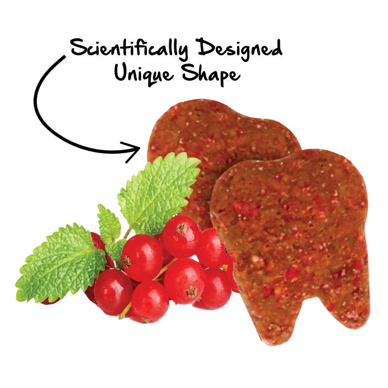 Kit Cat Cranberry Crisps (60g)