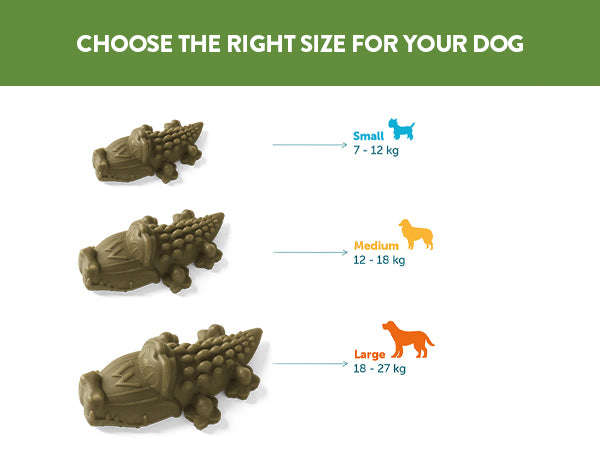 Whimzees Large Alligator Display Box (30pc)