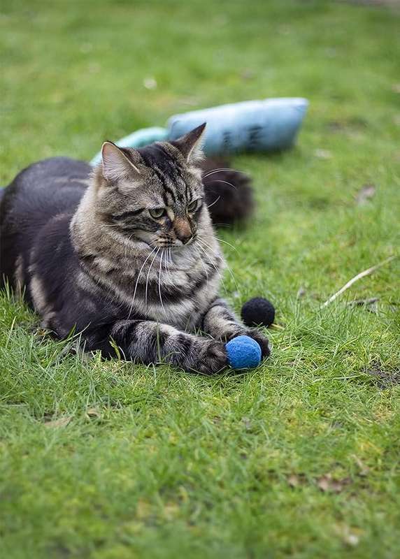 Rosewood Battersea Pounce Balls (4pc)