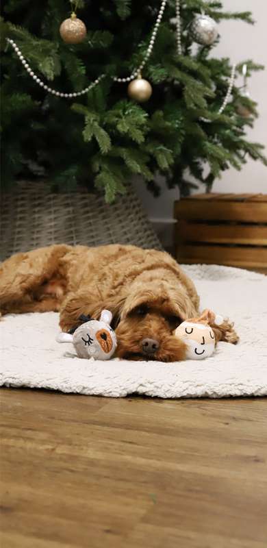 Christmas Character Plush Tennis Balls