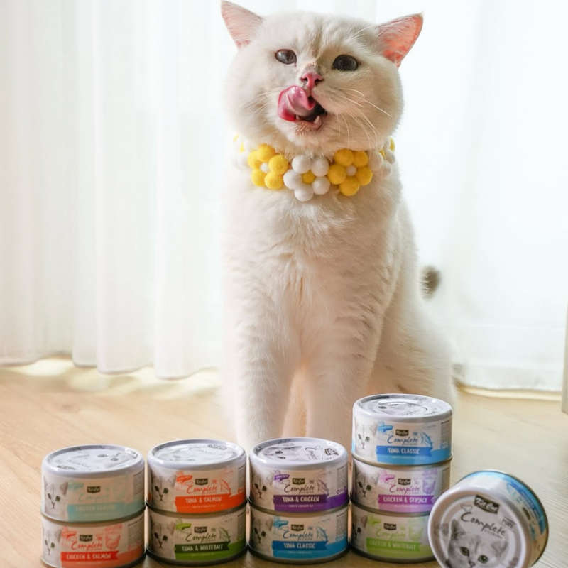 Kit Cat Complete Cuisine (70g)