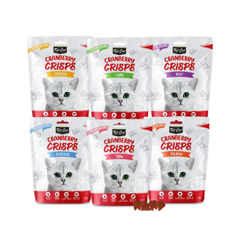 Kit Cat Cranberry Crisps (60g)