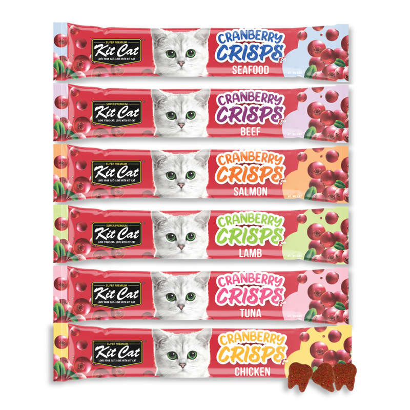 Kit Cat Cranberry Crisps (20g)