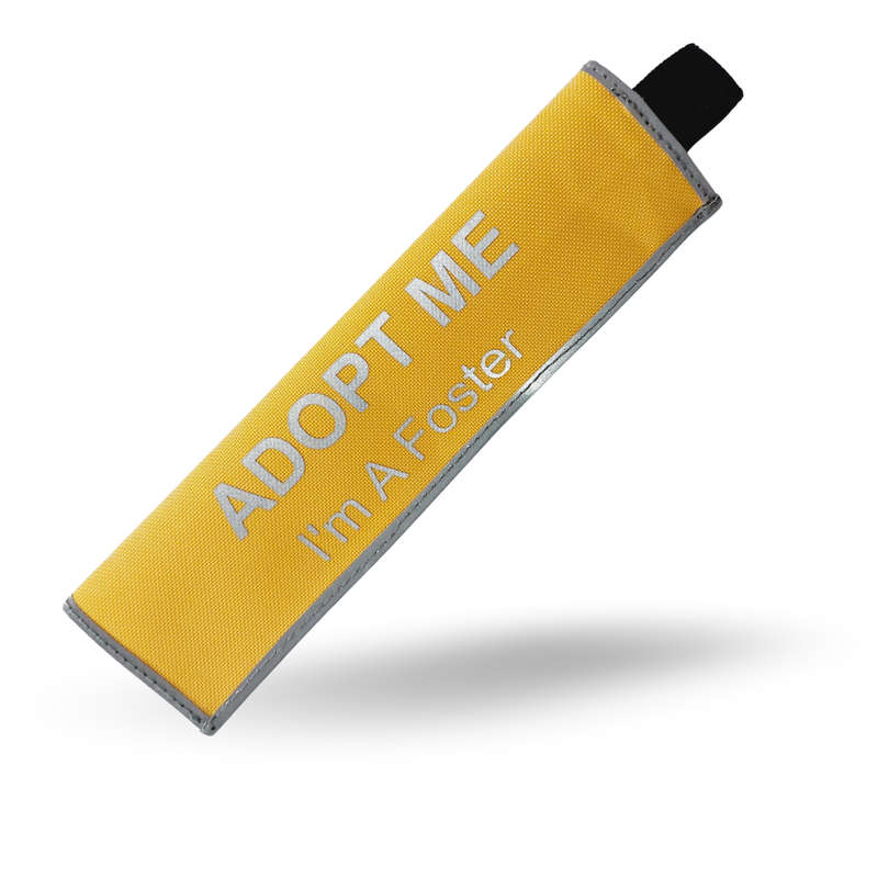 Safe Strides Alert Sleeves