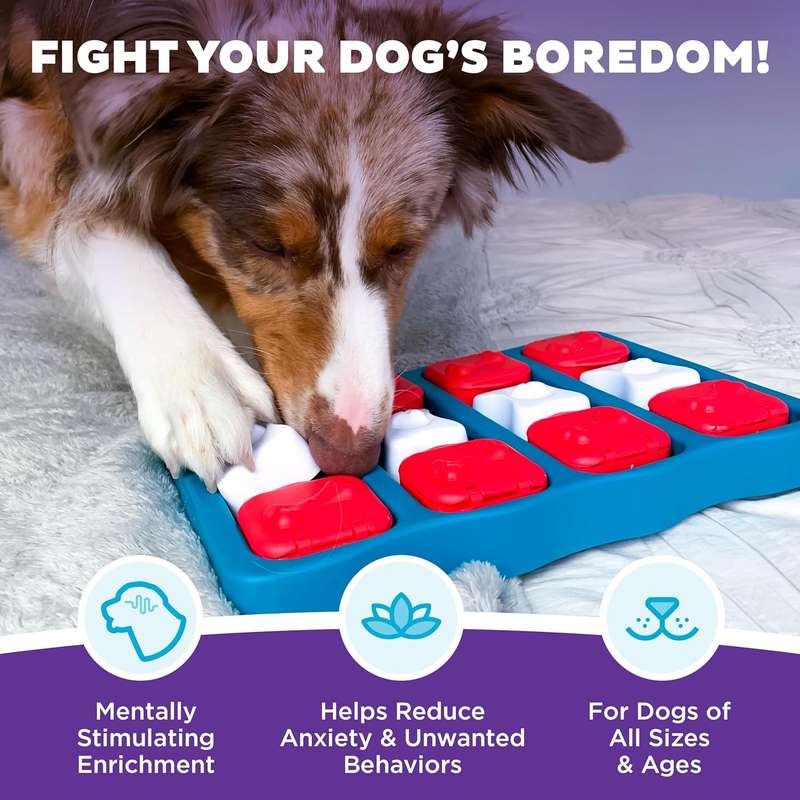 Nina Ottosson Dog Brick Blue