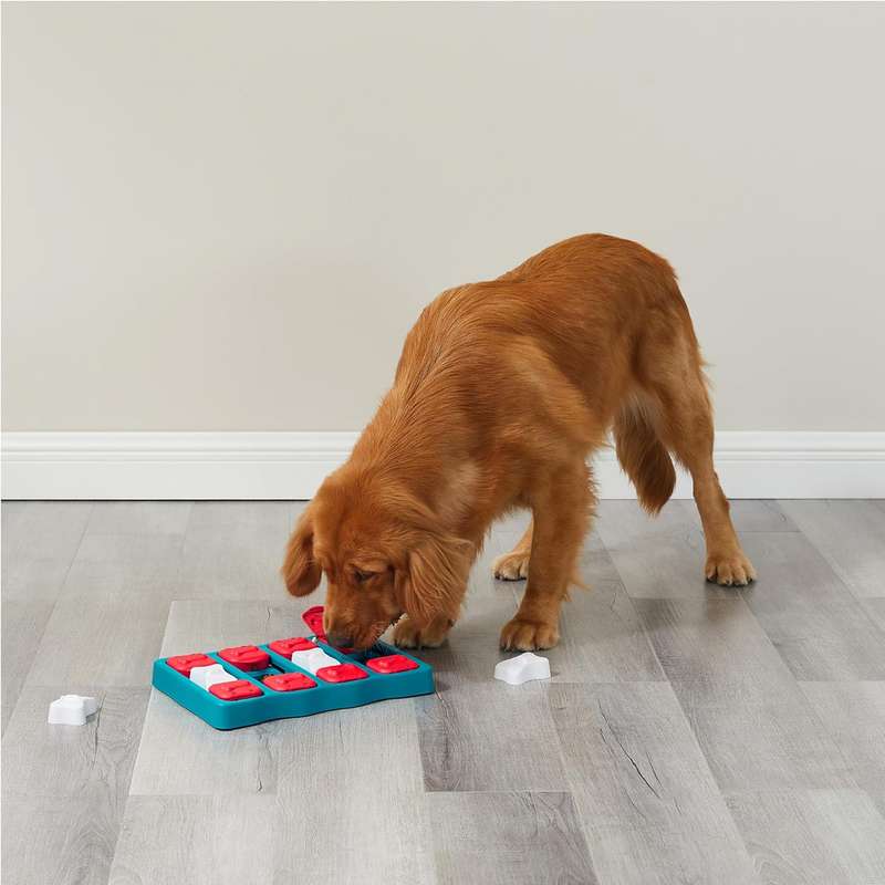 Nina Ottosson Dog Brick Blue
