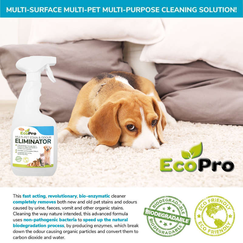 EcoPro Stain & Odour Eliminator