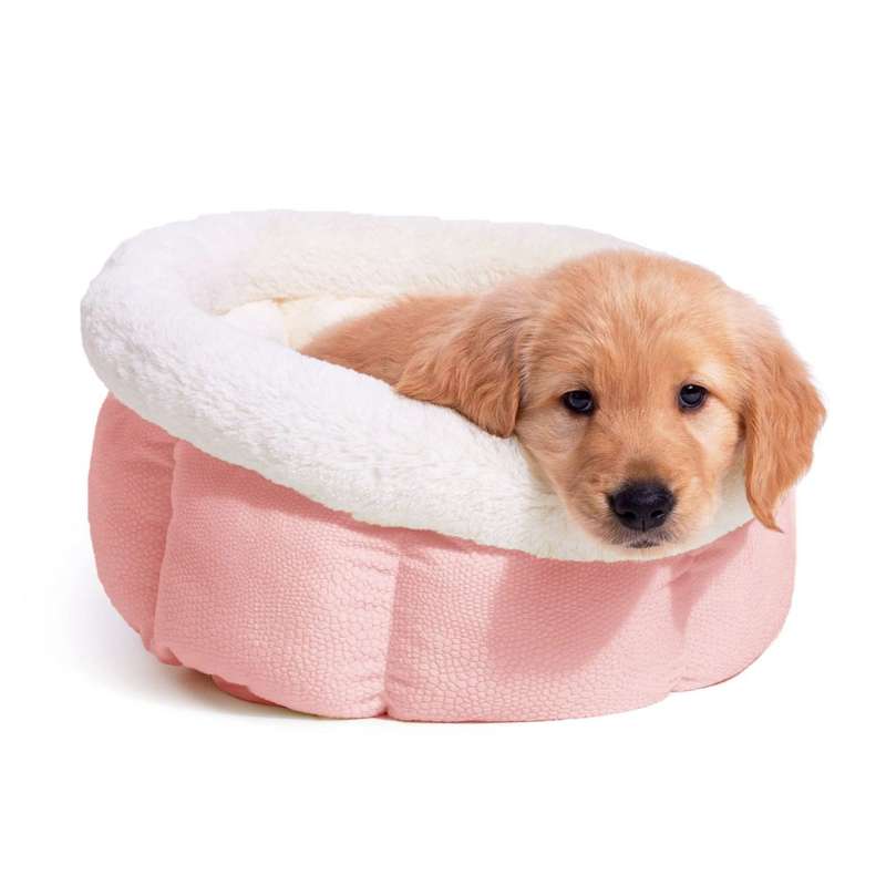 Best Friends by Sheri Cuddle Cup Ilan Dog & Cat Bed