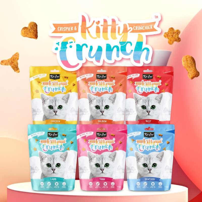 Kit Cat Kitty Crunch Bulk Deal (60g x 12 packs)