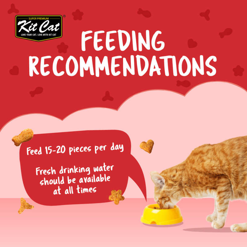 Kit Cat Kitty Crunch Bulk Deal (60g x 12 packs)