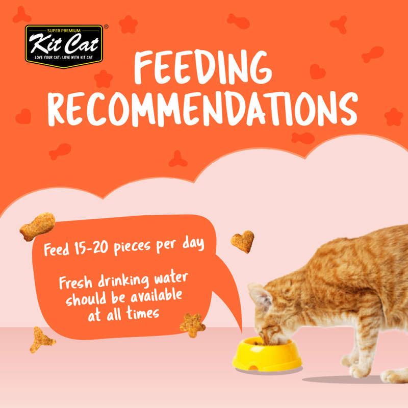 Kit Cat Kitty Crunch Bulk Deal (60g x 12 packs)