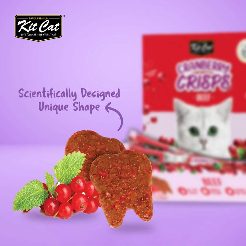 Kit Cat Cranberry Crisps Bulk Deal (20g x 50 packs)