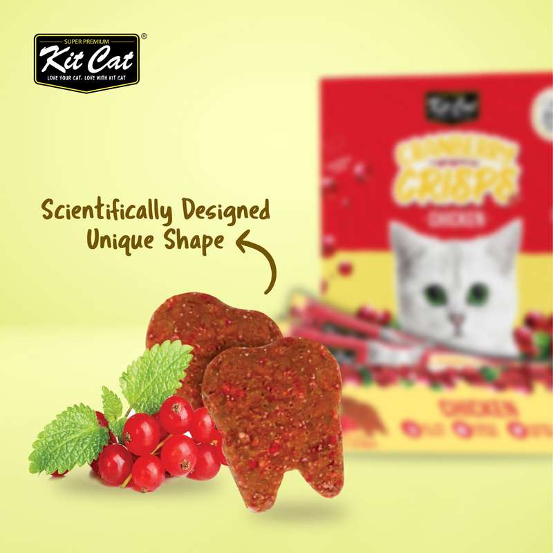 Kit Cat Cranberry Crisps (20g)