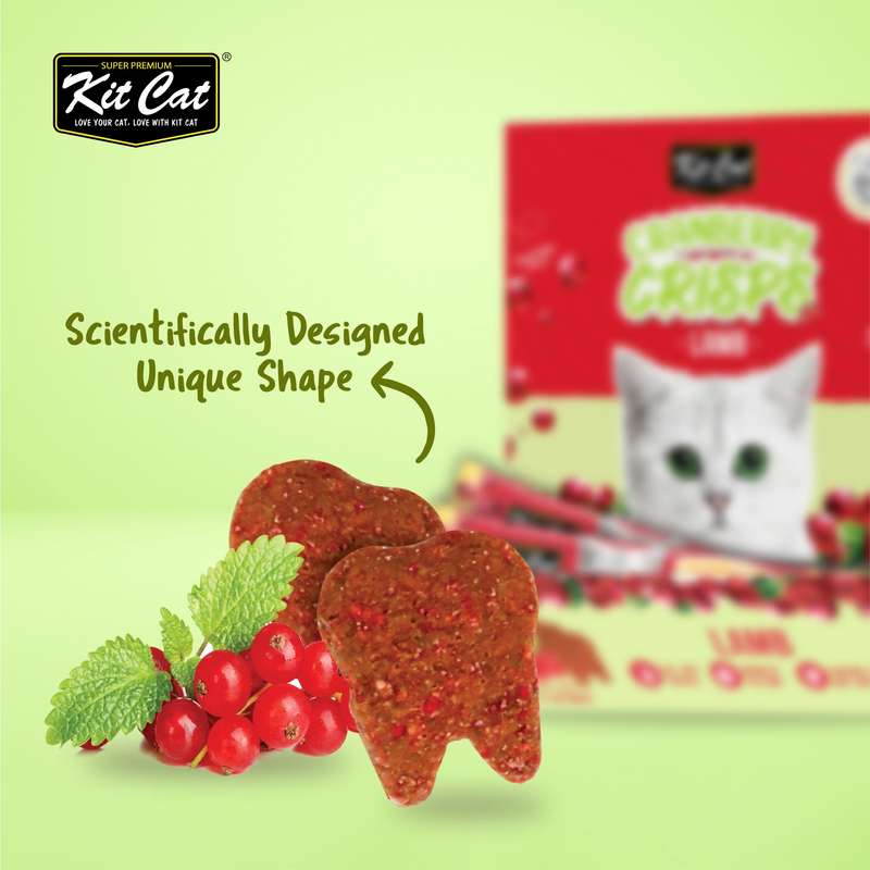 Kit Cat Cranberry Crisps (60g)