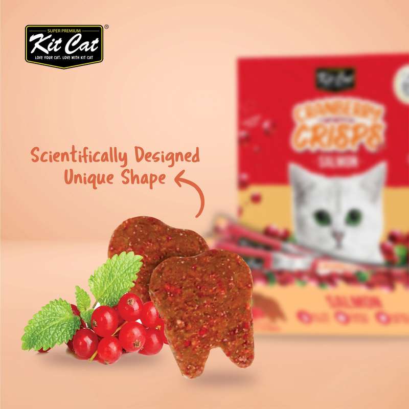 Kit Cat Cranberry Crisps (60g)