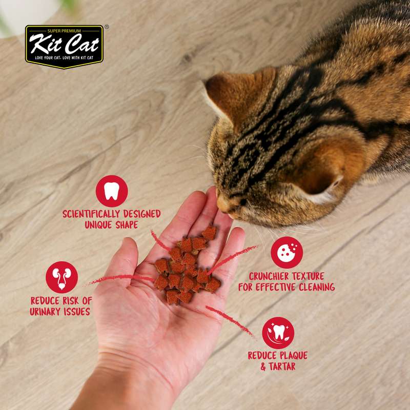 Kit Cat Cranberry Crisps (60g)