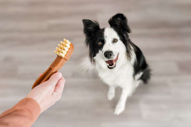Whimzees Large Toothbrush Single