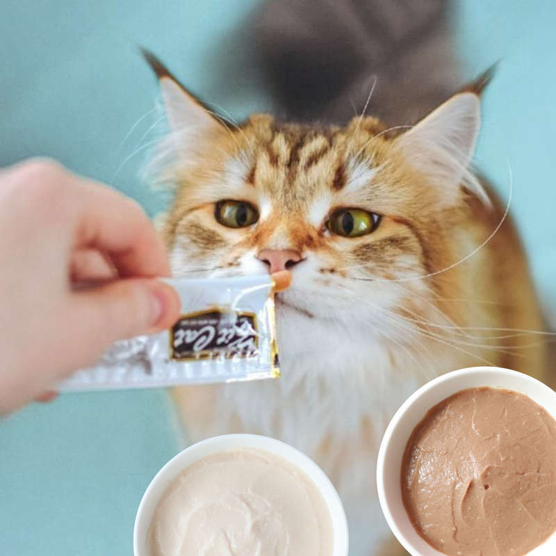 Kit Cat Purr Puree Plus+ Single Sachets (15g)