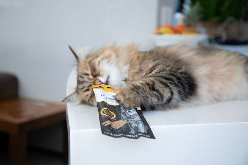Meow More Cat Treat Sticks (15g)