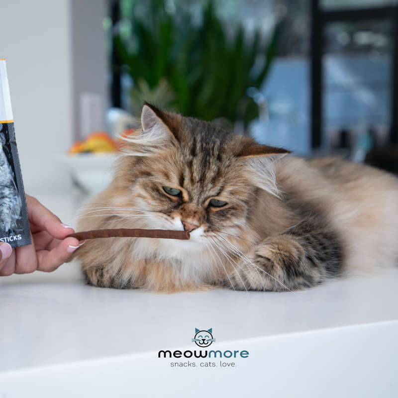Meow More Cat Treat Sticks Bulk Deal (15g x 35 sticks)
