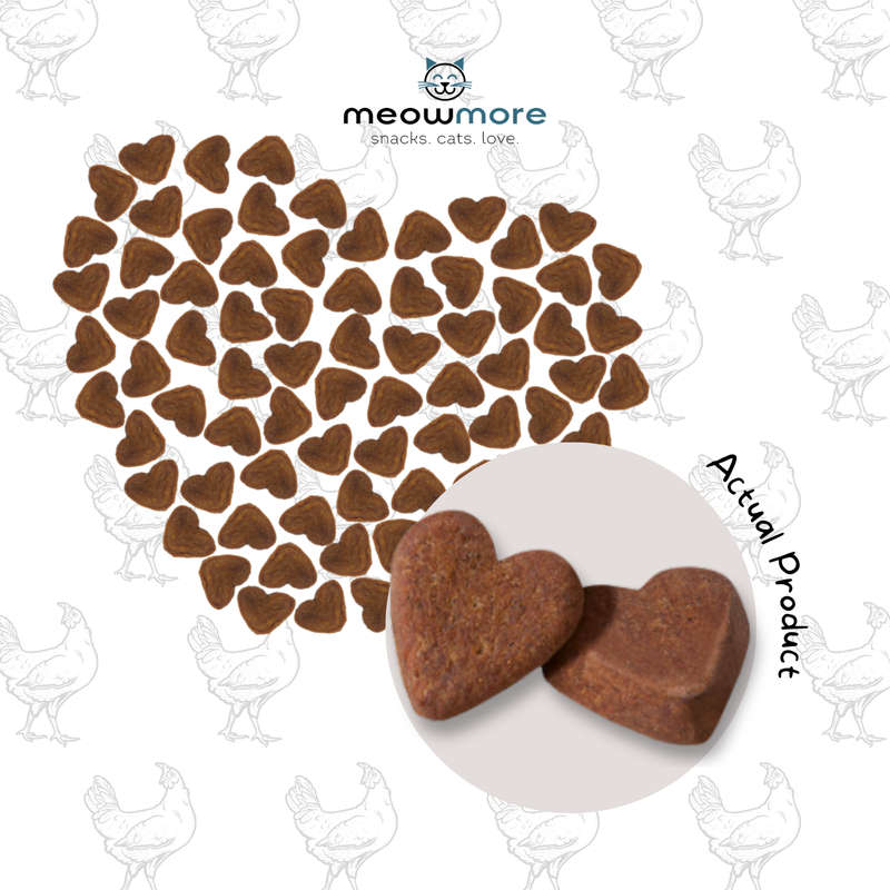 Meow More Meaty Snacks Bulk Deal (35g x 10 packs)