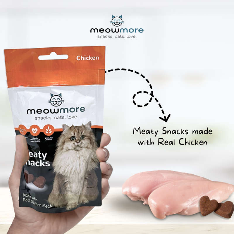 Meow More Meaty Snacks Bulk Deal (35g x 10 packs)