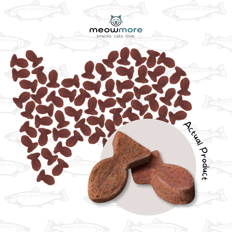 Meow More Meaty Snacks Bulk Deal (35g x 10 packs)