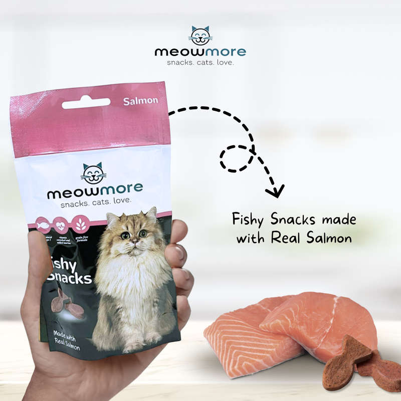 Meow More Meaty Snacks Bulk Deal (35g x 10 packs)
