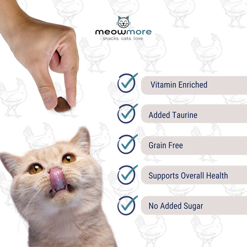 Meow More Meaty Snacks Bulk Deal (35g x 10 packs)