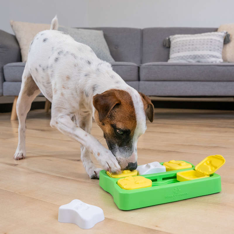 Dog Brick Green SM