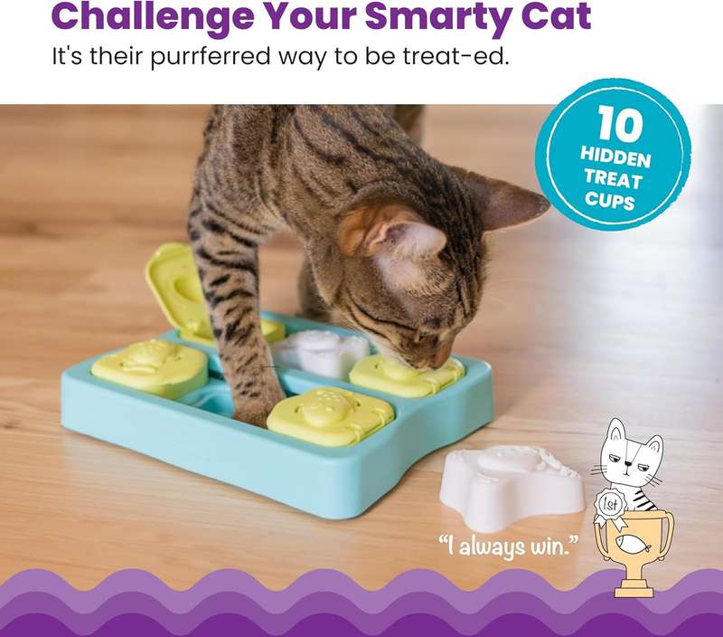 Kitty Cube Game