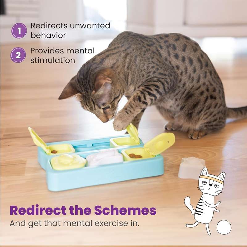 Kitty Cube Game