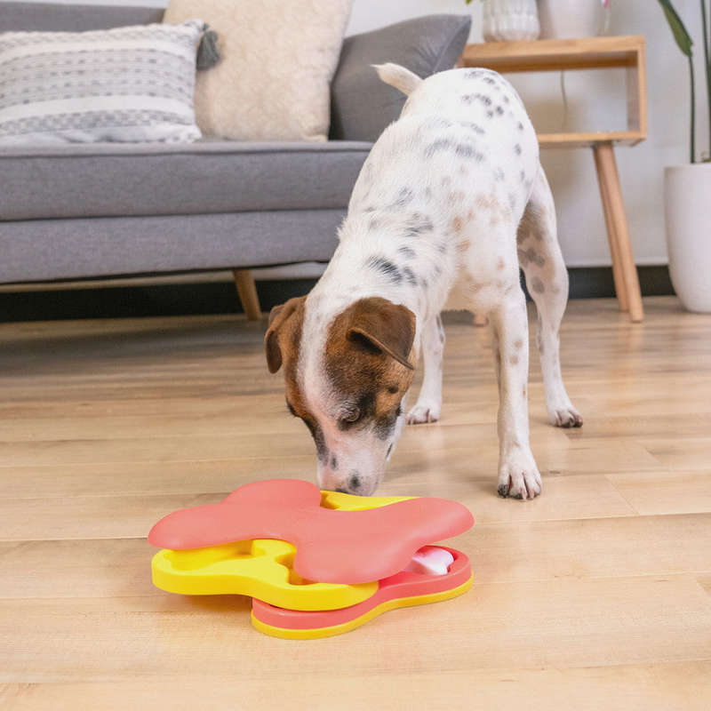 Dog Tornado Pink Small