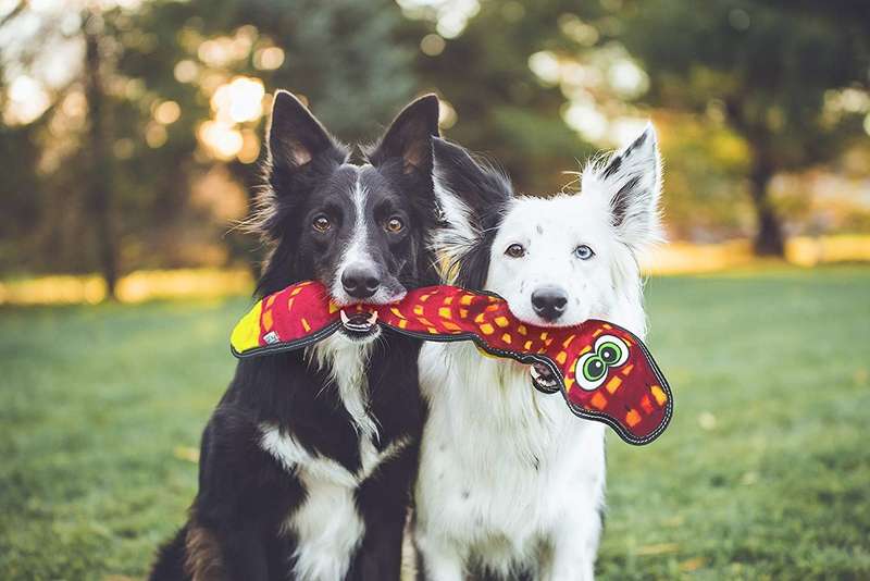 Tough Seamz Snake 6 squeaker