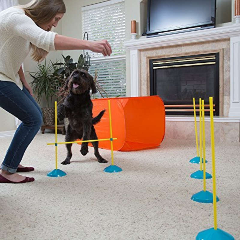 Outward Hound ZipZoom Indoor Agility Kit