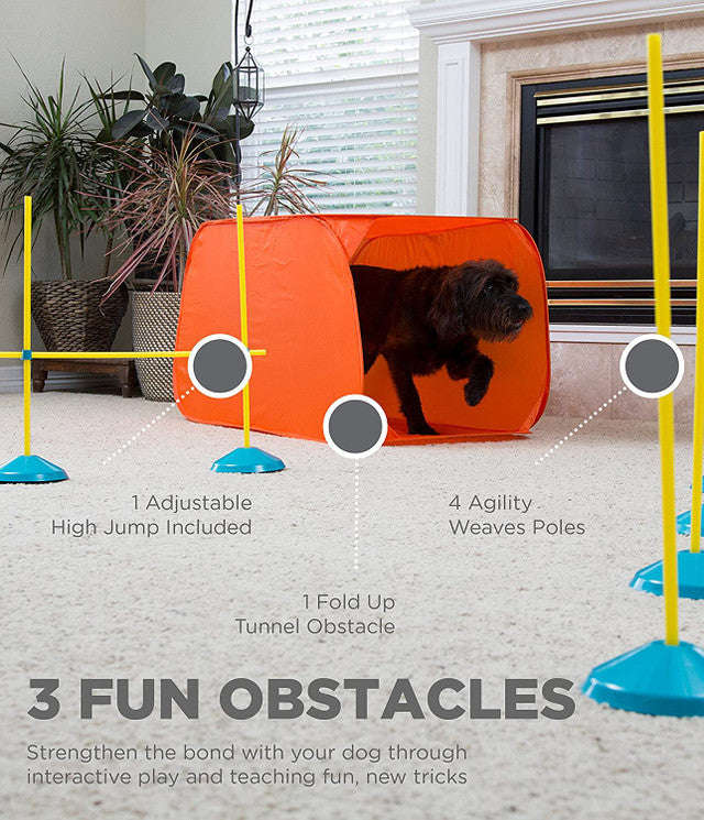 Outward Hound ZipZoom Indoor Agility Kit