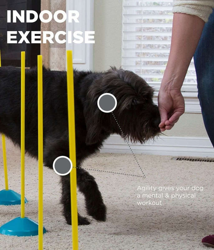 Outward Hound ZipZoom Indoor Agility Kit