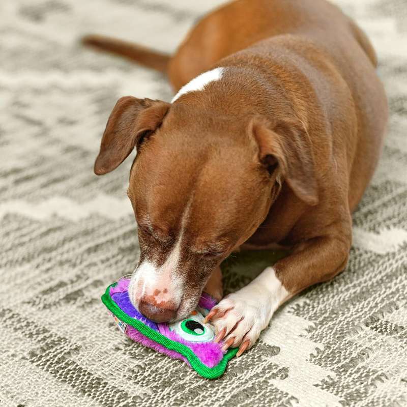 Outward Hound Durablez Mini Owl